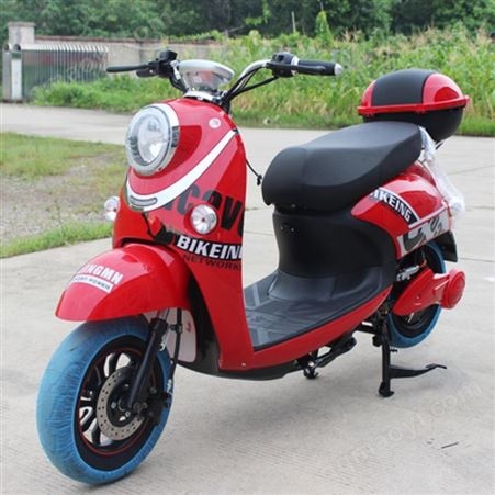 JM1000DT-6A单灯龟王60V电动车  设计 电动车