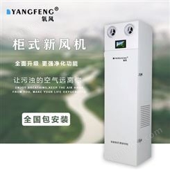 氧风柜式新风系统换气机商用家用学校教室别墅