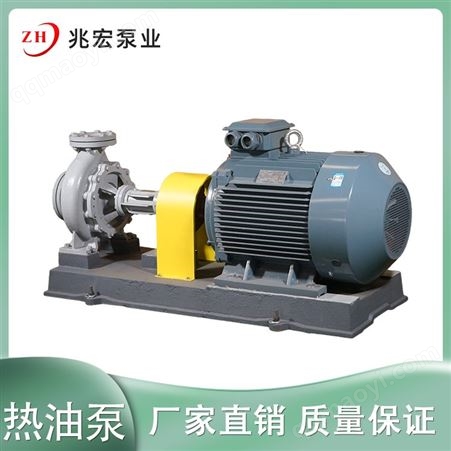 RY100-65-200有機硅裝置泵 配套熱油泵 熱油泵制造商