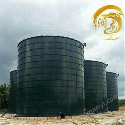 润龙 沼气厌氧发酵罐 厌氧池 厂家定制