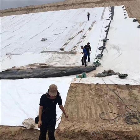 烧毛土工布 尾矿坝土工布 软基处理土工布 德州厂家批发