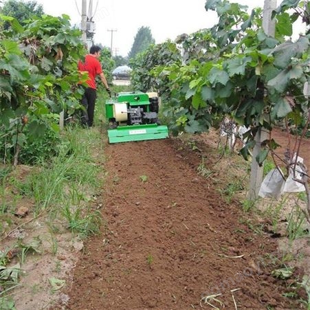 履带式开沟施肥机 遥控式挠地机 自走式果园微耕机