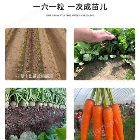 小型种子编织机 定量定位播种机 免见苗蔬菜绳播机