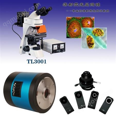 TL3201顯微鏡TL3201落射熒光顯微鏡