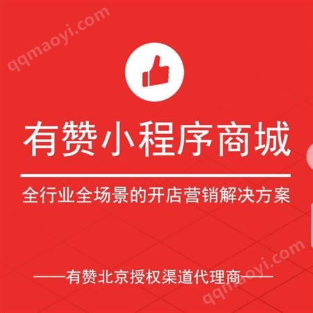有贊城正式版有贊代理商城 北京開通有贊小程序商城 dou音開店微信開店 有贊城開通
