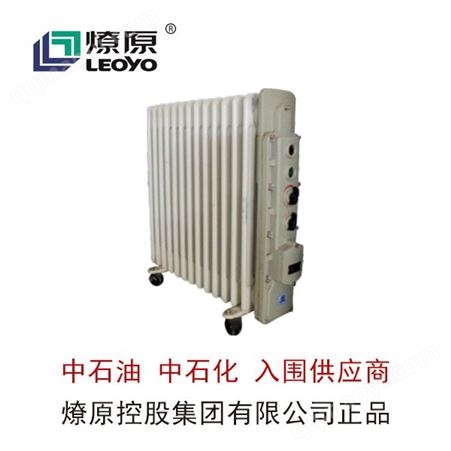 BXY防爆配电箱-防爆LED灯-BXY系列防爆密闭式电热油汀(IIB)