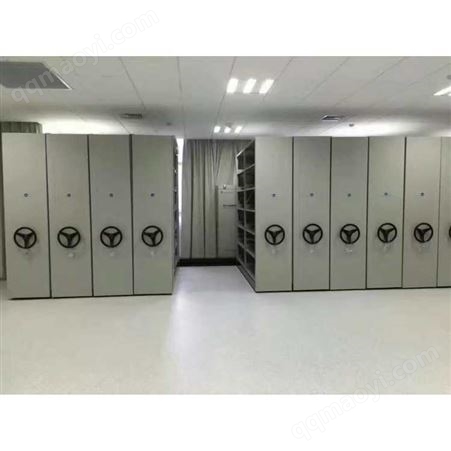 bg-009成都文档文件柜_成都高品质文件柜_成都单位文件柜