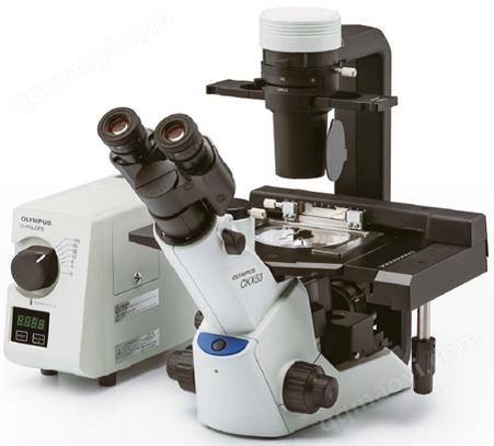 CKX53 倒置科研显微镜