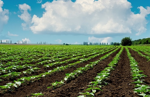 1634795576443896.png image.png